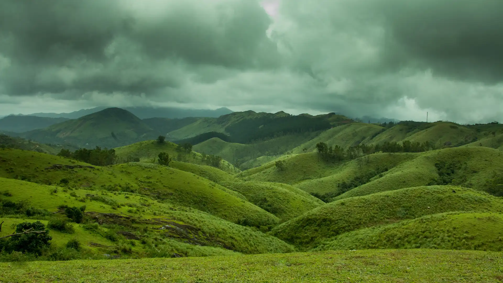 Vagamon